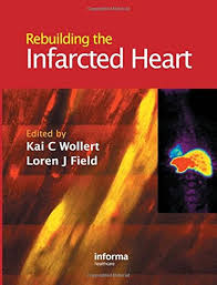 Rebuilding the infarcted heart