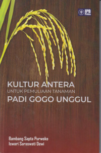 Kultur antera untuk pemuliaan tanaman padi gogo unggul