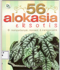 56 alokasia eksotis