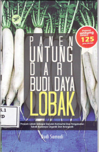 Panen untung dari budidaya lobak