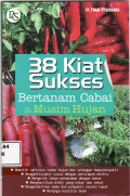 38 kiat sukses bertanam cabai di musim hujan