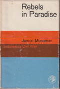 Rebels in paradise: Indonesia's civil war