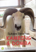 Sukses beternak kambing dan domba