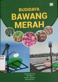 Budidaya bawang merah