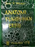 Anatomi tumbuhan berbiji