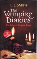 The vampire diaries the return: shadow souls