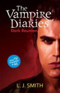 The vampire diaries: dark reunion
