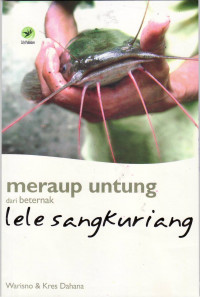Meraup untung dari beternak lele sangkuriang