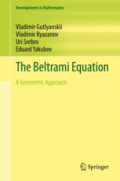 The Beltrami EquationA Geometric Approach /