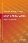 Nano-AntimicrobialsProgress and Prospects /