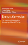 Biomass ConversionThe Interface of Biotechnology, Chemistry and Materials Science /