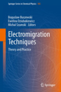 Electromigration TechniquesTheory and Practice /