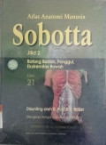 Sobotta: atlas anatomi manusia: batang badan, panggul, ekstremitas bawah